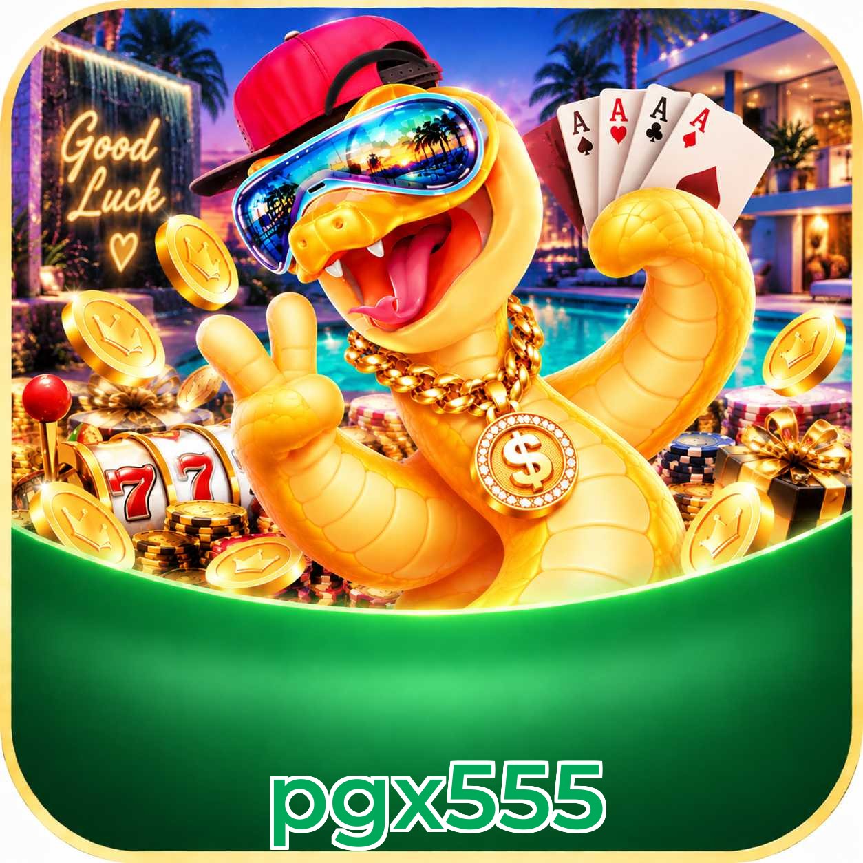 pgx555 App Features