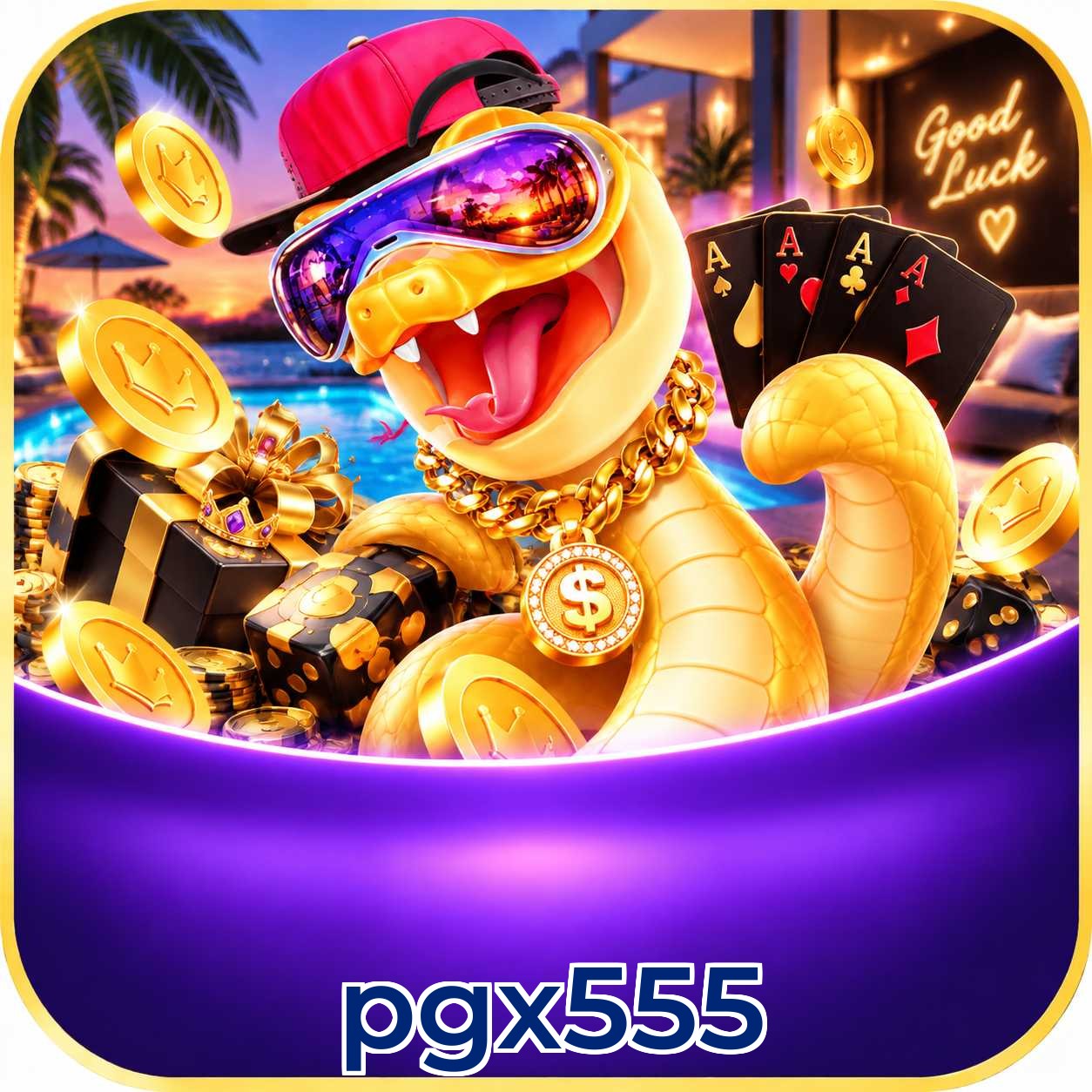 pgx555 Win FAQ