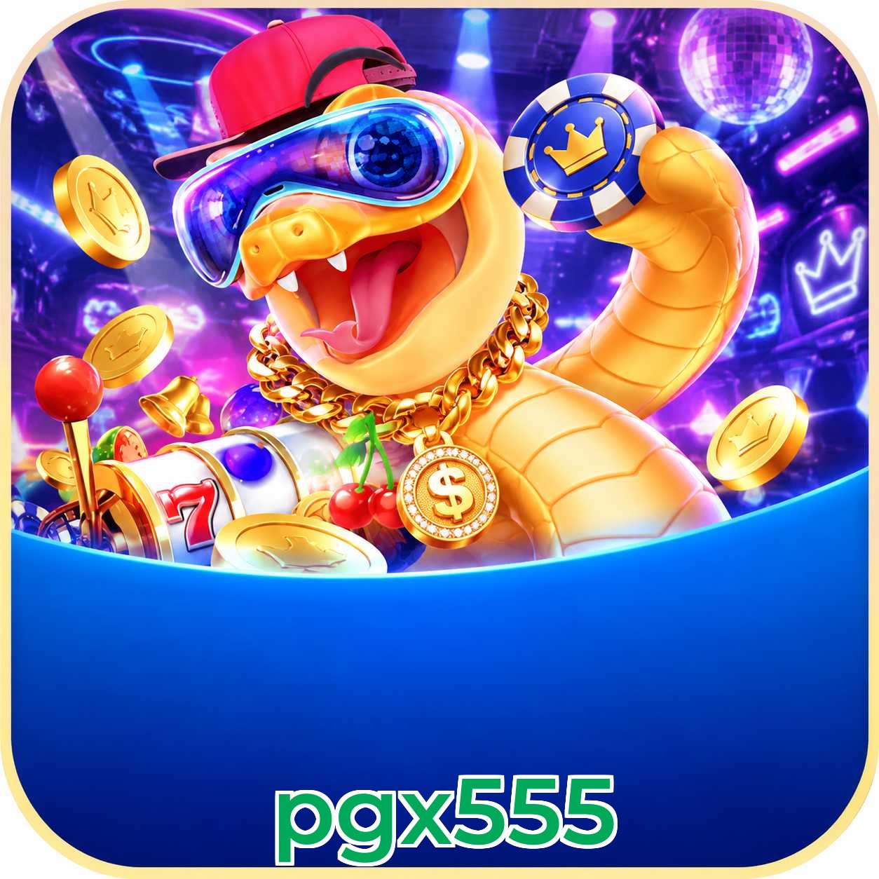 pgx555 FAQ