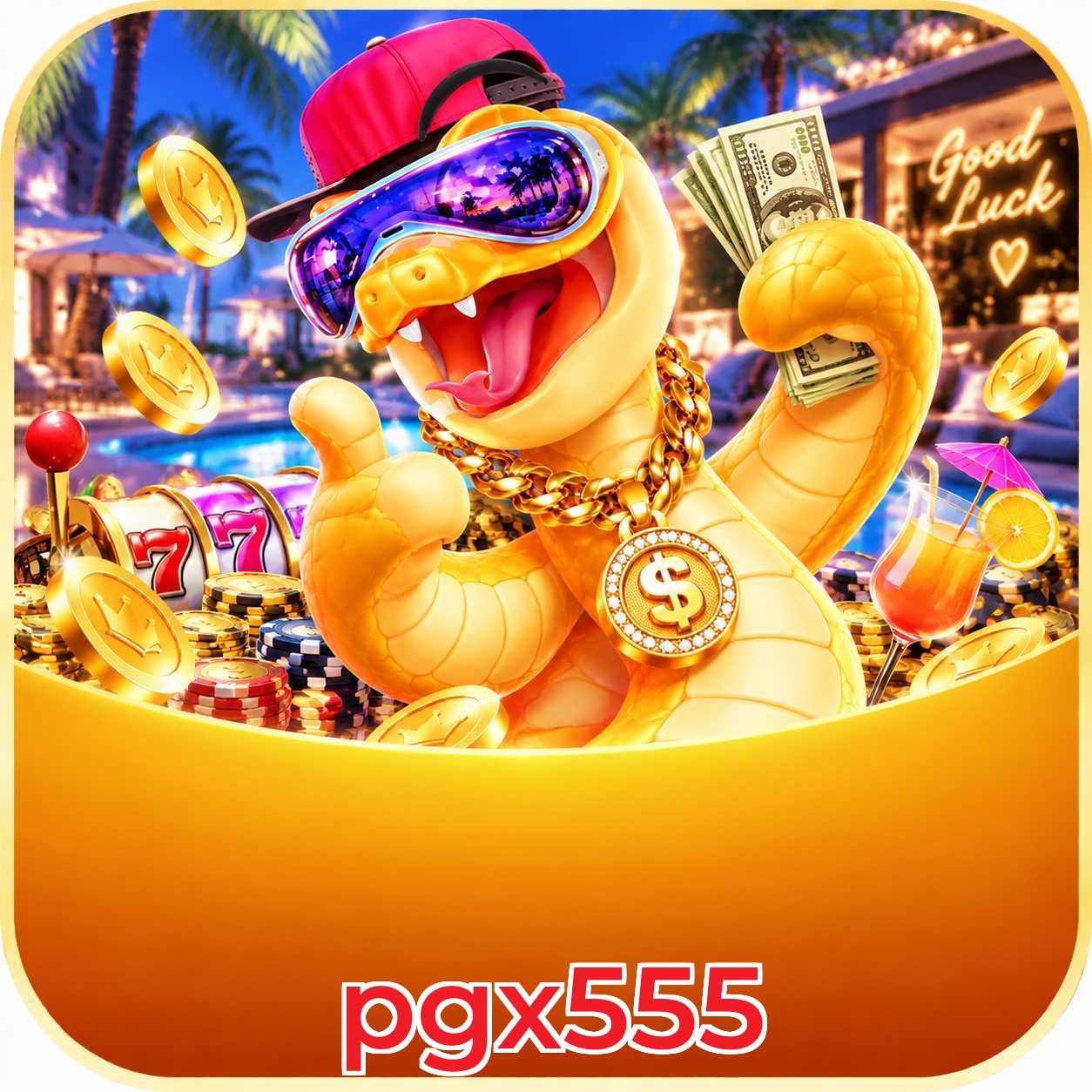 pgx555 App vs Web